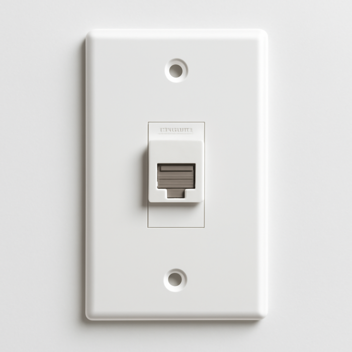 Panduit Cat6A Faceplate PAN-476